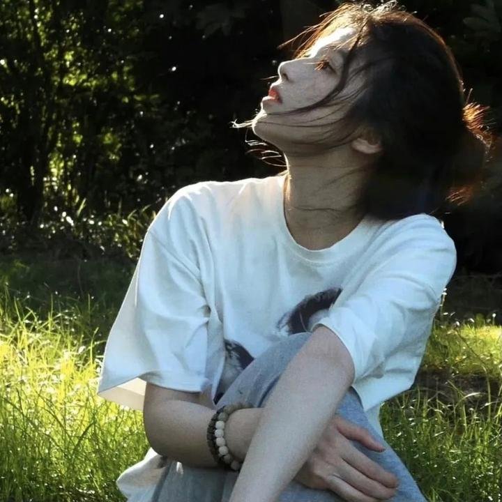 最后的飞行