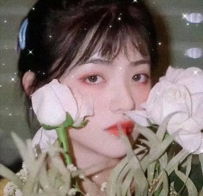 巴斯特·基顿归来
